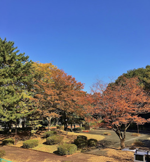 【周辺】 | 松が谷６番地住宅 | 大塚西公園まで徒歩１分