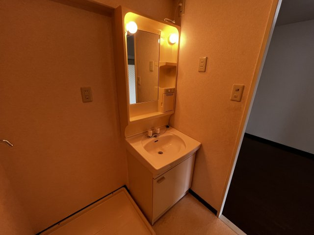 クレインパレス南大泉　A棟の洗面所