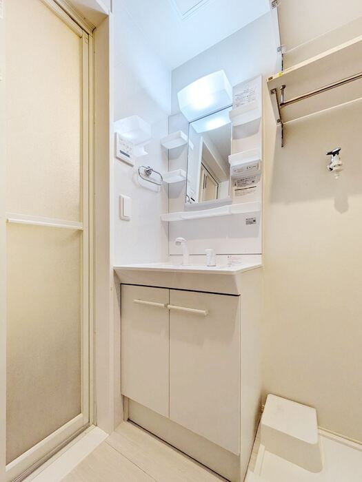 さいたま市中央区下落合２丁目の賃貸マンションの洗面所