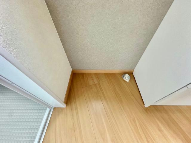 Via Lactea桜Baceの洗面所