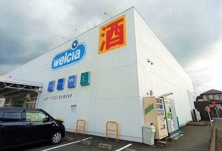 パーク　テラスの周辺|ウエルシア飯能緑町店まで300m