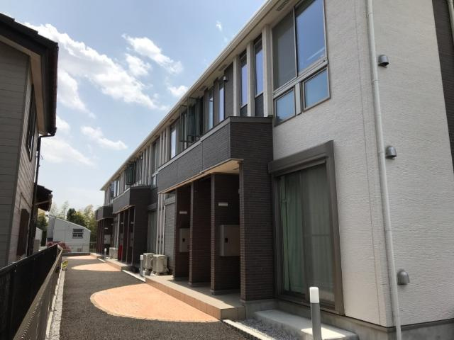 シェルキィの画像