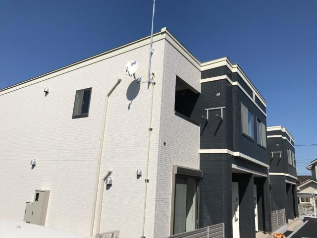 ひだまりの画像