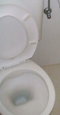 宮川方のトイレ