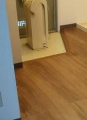 ピソパタタの玄関