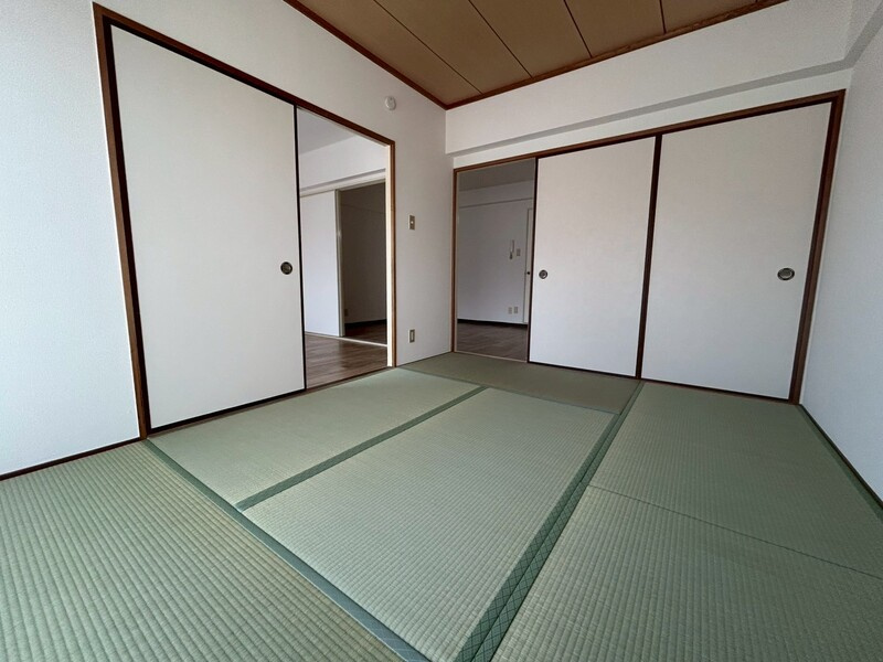 アミール西野のその他