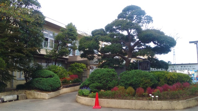 豊四季一戸建のその他|柏市立柏第二小学校