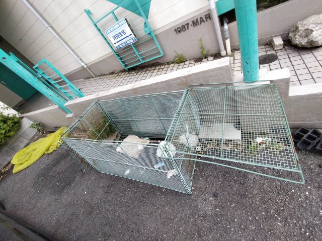  | フリーディオ石切