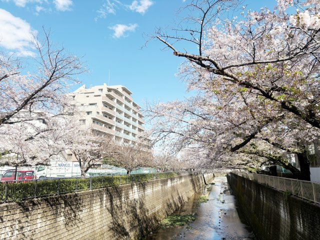 【外観】 | リビオ練馬高野台