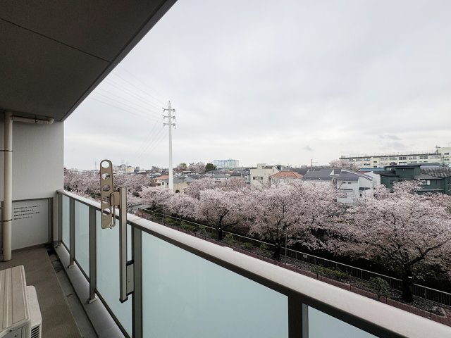 【展望】 | リビオ練馬高野台