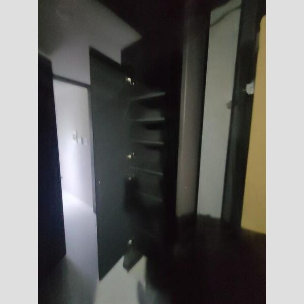 S-RESIDENCE難波西alterの玄関