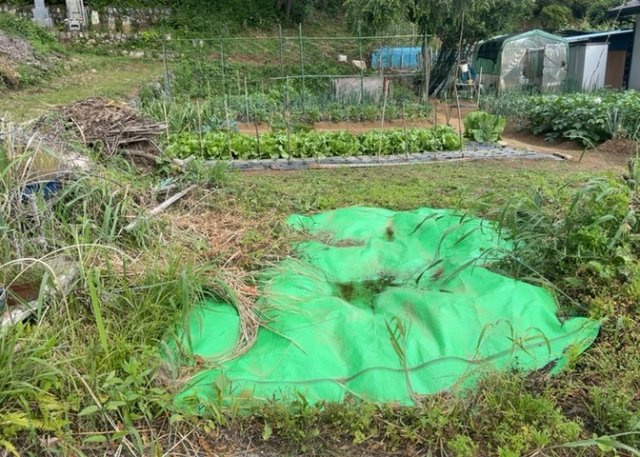【外観】 | 土地を買う際、住む地域の自治体や福祉の補助制度にも注目してみましょう。子供や老人の医療補助やゴミ出しのルールなど、自治体によってルールに大きな違いがあるため、暮らしやすい土地で判断するとよいでしょう。