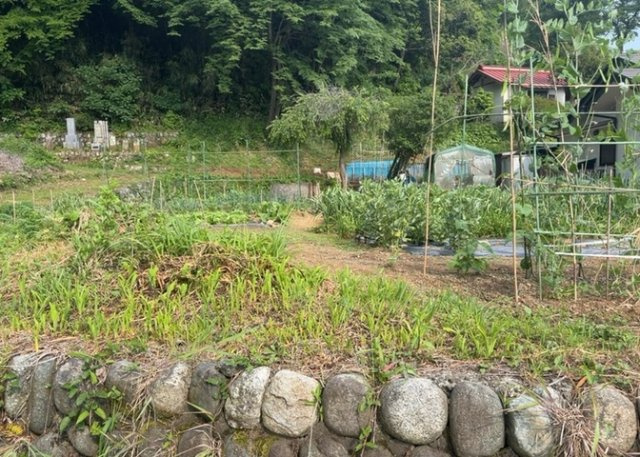 【外観】 | 家を建てる前提で土地を探している場合、地盤の丈夫さは譲れない条件の一つです。地盤が脆弱だと追加工事が必要となります。また、過去に地盤沈下や液状化現象を起こした土地は、できるだけ避けた方がいいでしょう。