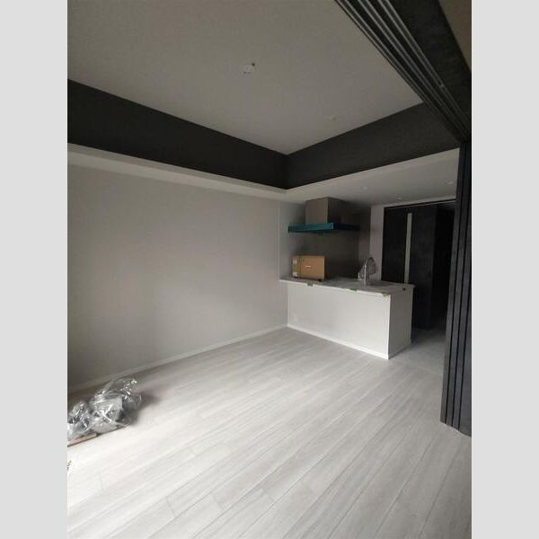 S-RESIDENCE難波西alterの居間・リビング