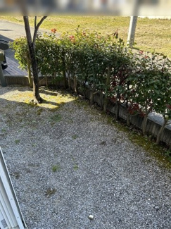 【庭】 | 野洲市西河原　中古戸建