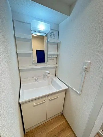 マンショントーアの洗面所