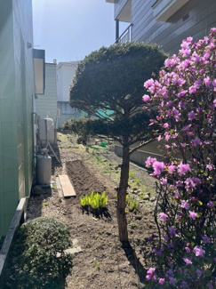 【庭】 | 手稲区富丘４-３ 一戸建 | お庭は敷地二面にあり家庭菜園も楽しめます♪
