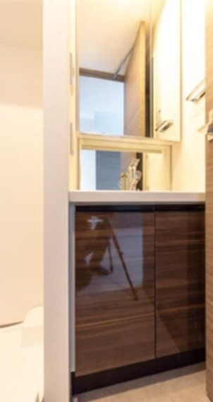 ヴァンクール菊川駅前の独立洗面台