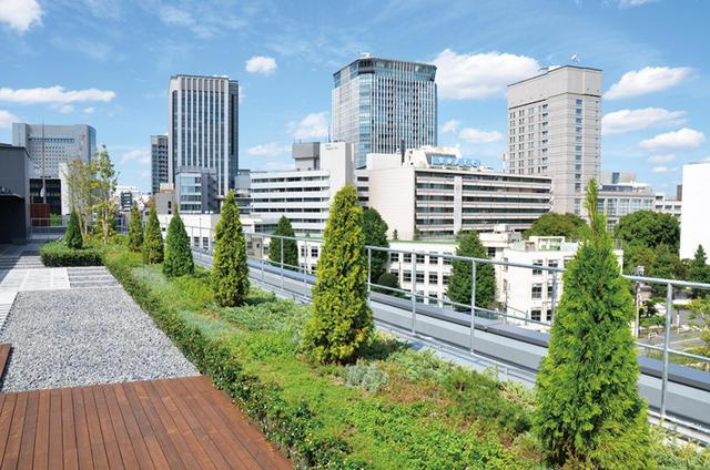 アイオス永田町のその他| 