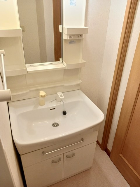 プリモディーネⅡの洗面所