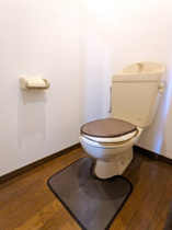 落ち着いた色調のトイレです