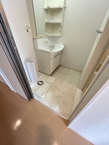 サウスグラースの洗面所