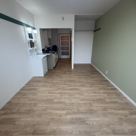 プラザマンション水元の内装