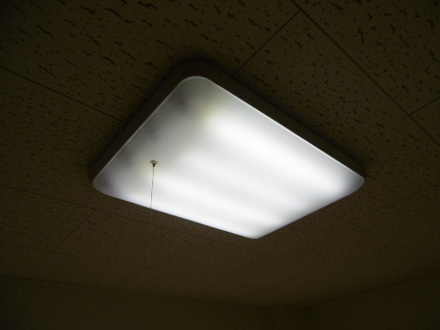 【設備】 | エランビタール | 照明器具（同物件別室の写真です）