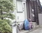 プリムローズのその他共用部分