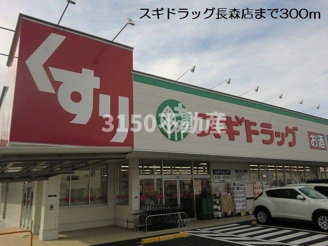 エクシールの周辺|スギドラッグ長森店まで300m
