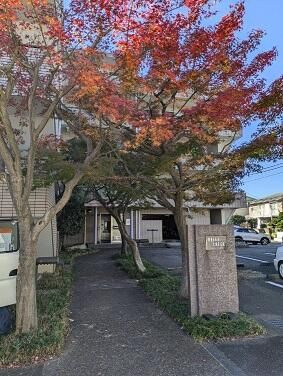 【その他】 | ベルクレエ