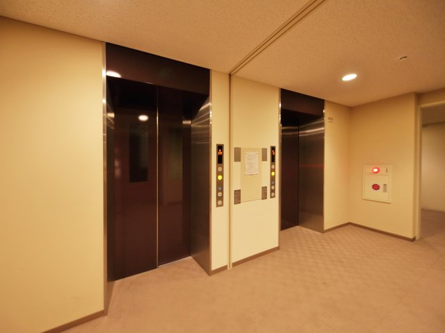 の-の画像
