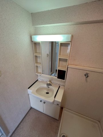 シェルコート南甲子園の洗面所