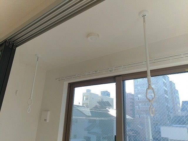 アイリスのその他