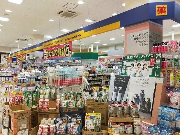 アイリスの周辺