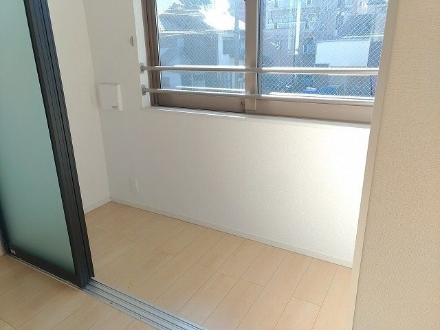 アイリスのその他