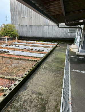 【庭】 | 佐賀県小城市芦刈町三王崎