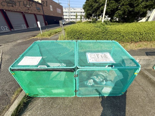 宝塚安倉（4）8号棟のその他物件画像