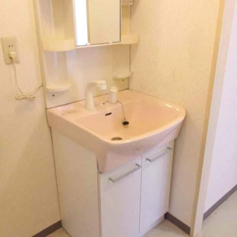 北葛飾郡杉戸町高野台南１丁目のアパートの洗面所