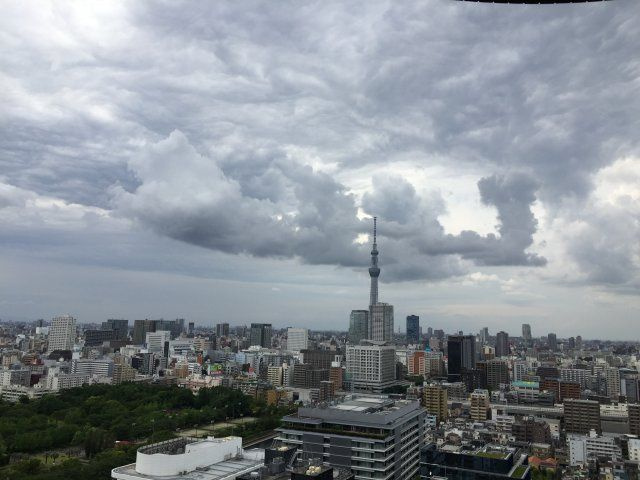 ザ・ガーデンタワーズ・サンライズタワーの展望