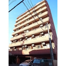 セザール名古屋の画像