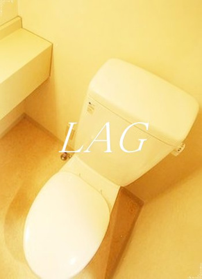【トイレ】 | ステージグランデ日本橋 | トイレです。