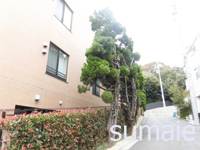 フレンシア田端南のその他|きちんと整備された植栽です☆