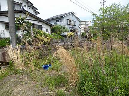 広島市安佐北区真亀３丁目 高陽ニュータウンＡ１住区の周辺