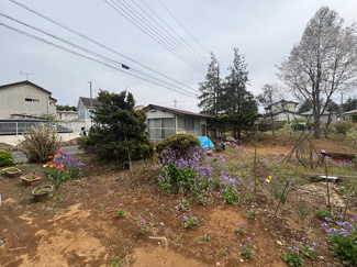 【その他】 | 石岡市東大橋　住宅・事業用地 | 小屋・一部植栽等あり
