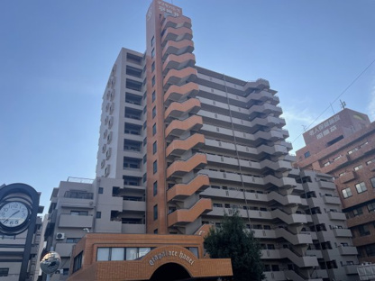 【外観】ダイヤパレス羽根井西館 