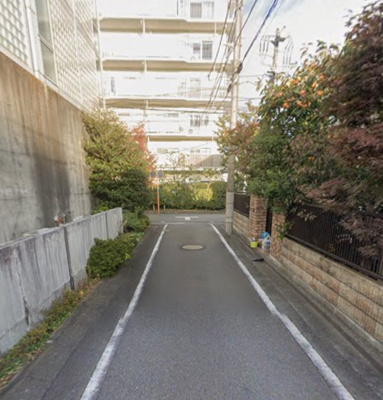【前面道路含む現地写真】 | 八王子市明神町　売地 | 北東接道