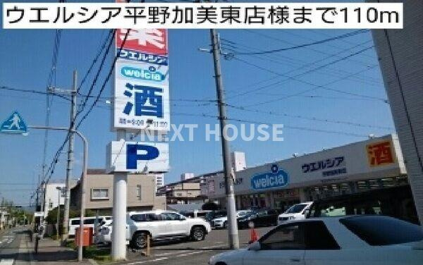 プリムローズのその他