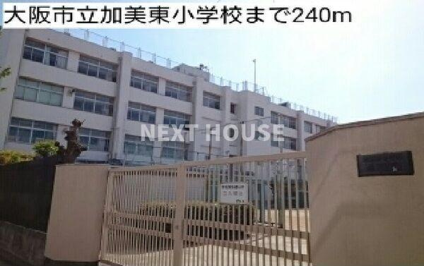 プリムローズの周辺
