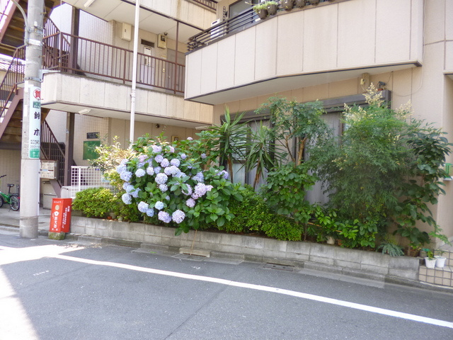 アイリス神谷のその他|植栽が素敵です☆